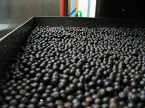 원내에서 직접만드는 환약 2편