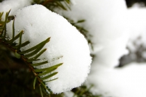 첫눈 오는 날 약선당한의원 풍경...