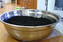 2015년 홈피 개설이후 첫번재 일정 -숙지황 9증 수치