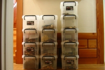 월요일은 좀 바쁠듯 합니다. 약달일려면요....