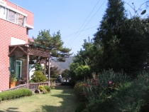 어느덧 가을이 가고 있네요.