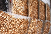 오늘은 창출씻고, 화분에 물주고..