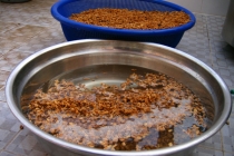 오늘의 일정 '당삼 50근 세척'